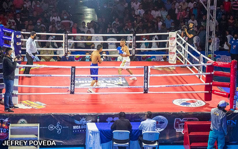 BOXEO